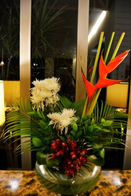 Papier peint  Colorful flower Bird of paradise (Strelitzia Reginae) blossom