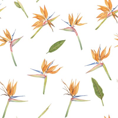 Papier peint  Colorful Strelitzia Reginae flower seamless pattern