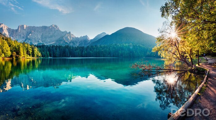 Papier peint  Colorful summer view of Fusine lake. Bright morning scene of Julian Alps with Mangart peak on background, Province of Udine, Italy, Europe. Traveling concept background.
