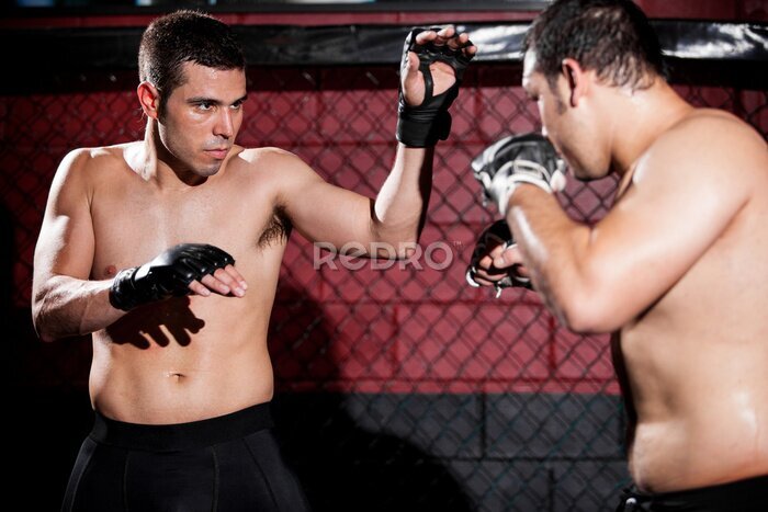 Papier peint  Combattants d'arts martiaux mixtes au cours d'un match dans une cage de combat