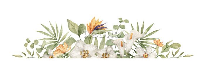 Papier peint  Composition bohème de fleurs et de plantes exotiques