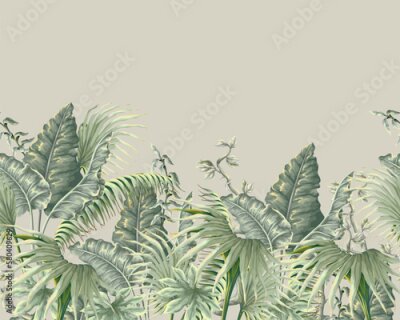 Papier peint  Composition de feuilles vertes de plantes exotiques sauvages