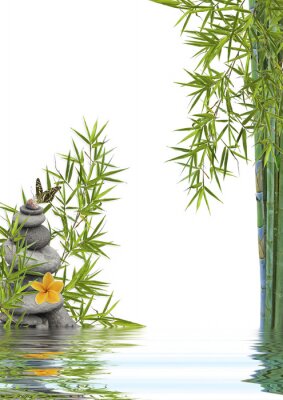 Papier peint  Composition de fleurs de bambou et d'eau