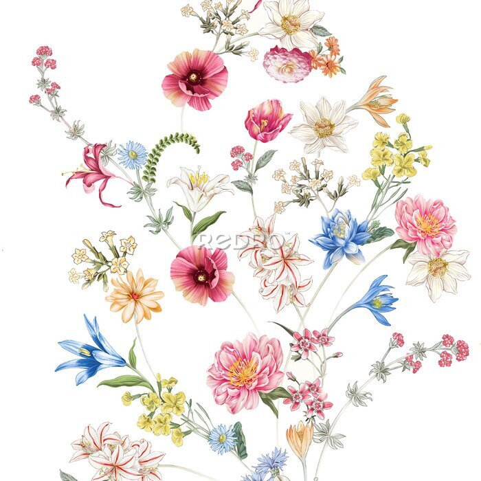 Papier peint  Composition de fleurs sauvages colorées