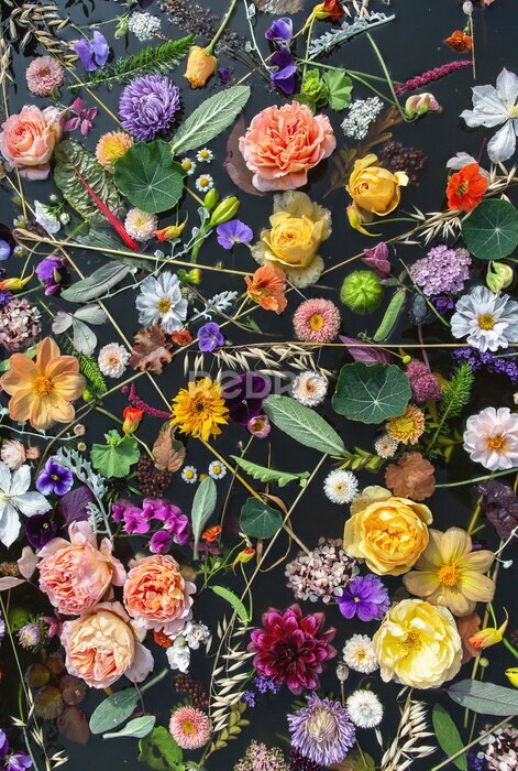 Papier peint  Composition florale