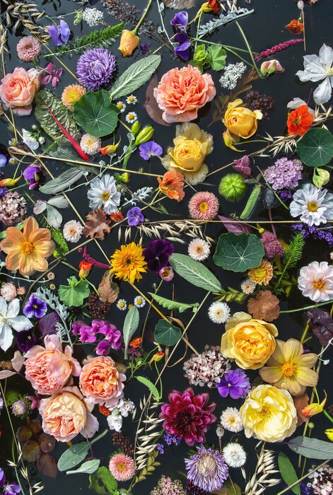 Papier peint  Composition florale