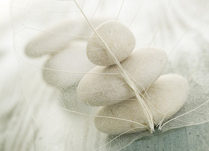 Papier peint  Composition harmonieuse avec des pierres