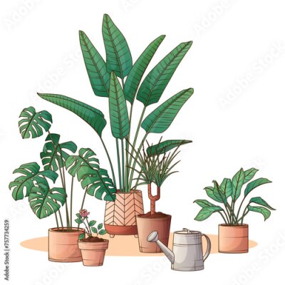 Papier peint  Composition of different houseplant. Vector illustration of monstera, strelitzia, aglaonema. Hand drawn illustration of dracaena plant. Interior, flower shop, home garden concept. Potted plants.