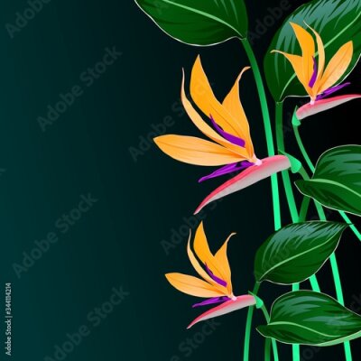 Papier peint  COMPOSITION OF ORANGE FLOWERS AND LEAVES OF STRELITZIA ON A DARK BACKGROUND