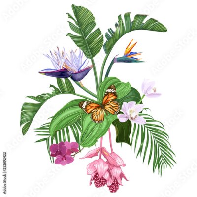 Papier peint  Composition of tropical flowers and leaves with butterfly isolated on white background. Strelitzia, orchids, medinilla, palm trees. Vector illustration. 