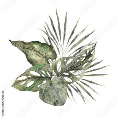 Papier peint  Composition of tropical leaves of fan palm, monstera, strelitzia. Watercolor composition drawn by hand on an isolated background. Botanical illustration for design of invitations, cards, holidays