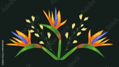Papier peint  Composition of tropical yellow flowers and strelitzia on a black background. Vector