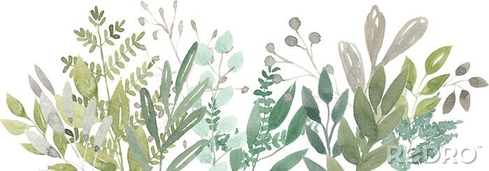 Papier peint  Composition végétale avec eucalyptus