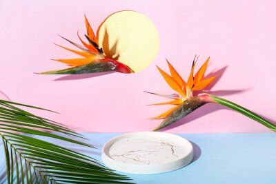 Papier peint  Composition with beautiful strelitzia flowers, plate and palm leaf on color background