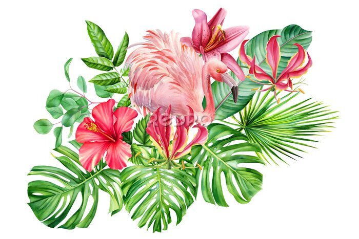 Papier peint  composition with  bird flamingos, hibiscus flowers, lilies, fire lily, monstera, palm leaves,  eucalyptus,  Strelitzia leaf on an isolated white background, watercolor hand drawing