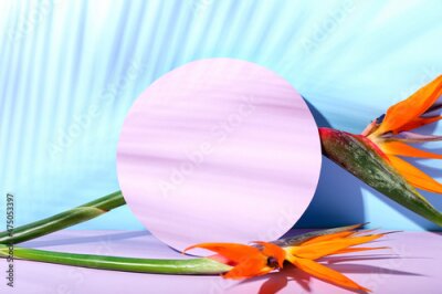 Papier peint  Composition with blank card and strelitzia flowers on color background