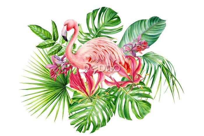 Papier peint  Composition with flamingos, flowers,  fire lily, monstera, palm leaves, barberry berries, strelitzia leaf on an isolated white background, watercolor drawing