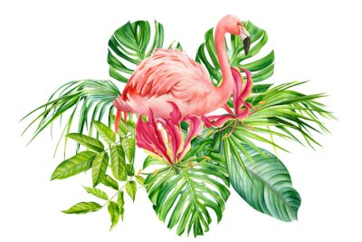 Papier peint  composition with flamingos, flowers,  fire lily, monstera, palm leaves, Strelitzia leaf on an isolated white background, watercolor drawing