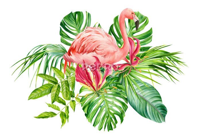 Papier peint  composition with flamingos, flowers,  fire lily, monstera, palm leaves, Strelitzia leaf on an isolated white background, watercolor drawing