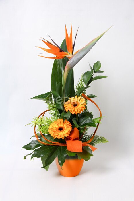 Papier peint  Composition with orange gerbera and strelitzia flowers isolated in the white background