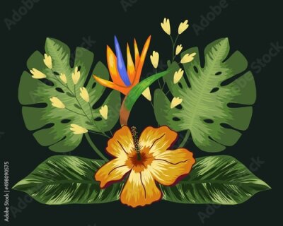 Papier peint  Composition with tropical flowers and strelitzia, leaves palm and monstera. Vector on a black background