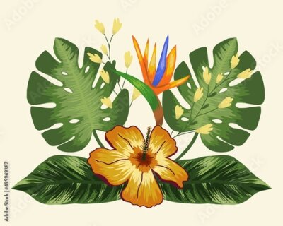 Papier peint  Composition with tropical flowers and strelitzia, leaves palm and monstera. Vector on a light background