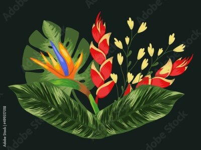 Papier peint  Composition with tropical flowers heliconia and strelitzia, leaves palm and monstera. Vector on a black background