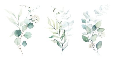 Papier peint  Compositions végétales à l'aquarelle