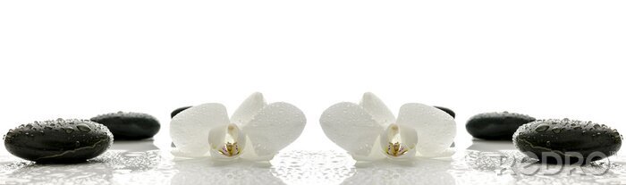 Papier peint  concept de Spa