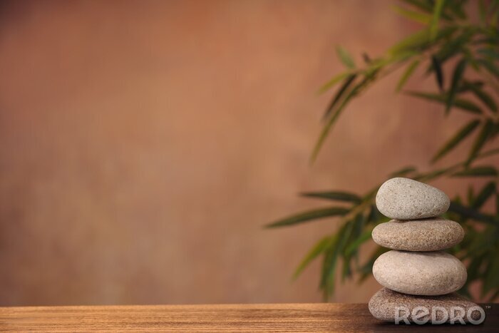 Papier peint  Concept Zen