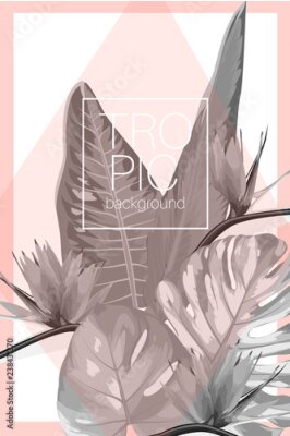 Papier peint  Conception de modèle de carte botanique invitation tropical exotique. Feuille fendue philodendron monstera plante strelitzia oiseau du paradis fleurs composition bouquet. Style vintage minimaliste mod