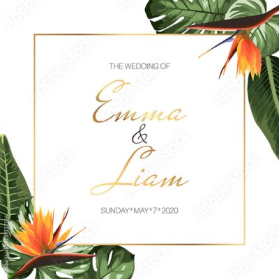 Papier peint  Conception de modèle de carte invitation mariage exotique tropical événement. Bordure carrée cadre vert jungle palm monstera feuilles, orange paradis oiseau strelitzia fleurs. Coin décoration. Espace 