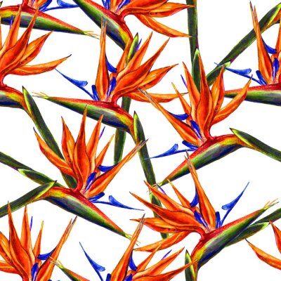 Papier peint  Conception textile.