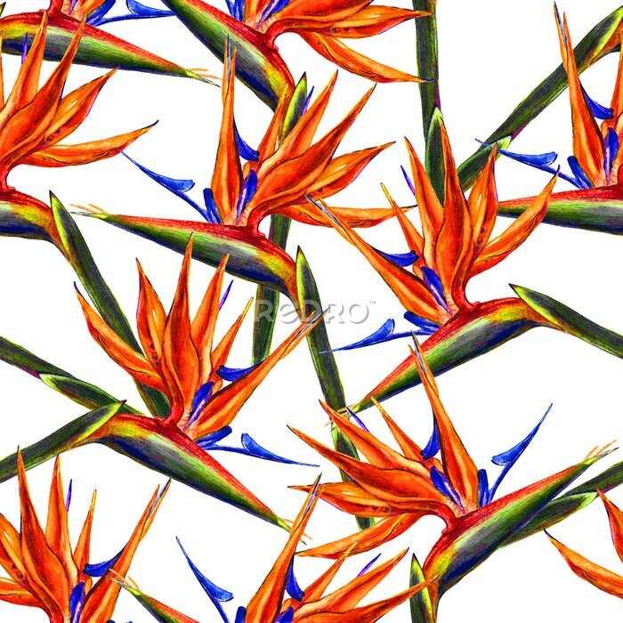 Papier peint  Conception textile.