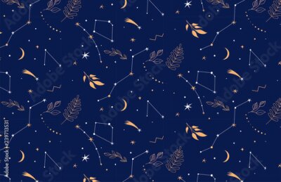 Papier peint  Constellations d'étoiles et feuilles