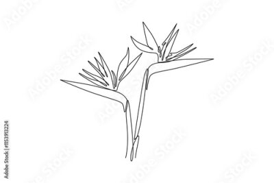 Papier peint  Continuous one line drawing of beauty fresh strelitzia for home wall decor art poster print. Decorative bird of paradise flower for invitation card. Single line draw design vector graphic illustration
