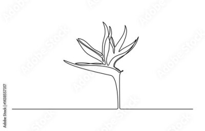 Papier peint  Continuous one line drawing of beauty fresh strelitzia for home wall decor art poster print. Decorative bird of paradise flower for invitation card, Vector illustration.