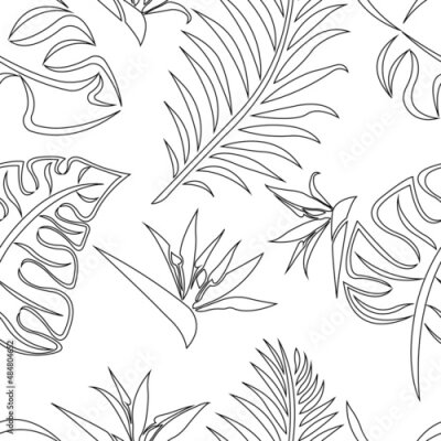 Papier peint  Contours of tropical leaves of monstera, fern and Strelitzia flowers seamless pattern on a white background. Design for textile, wallpaper, summer, leisure, website, wrapping paper. Isolated vector