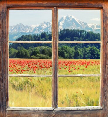 Papier peint  Coquelicots dans un champ derrière une fenêtre