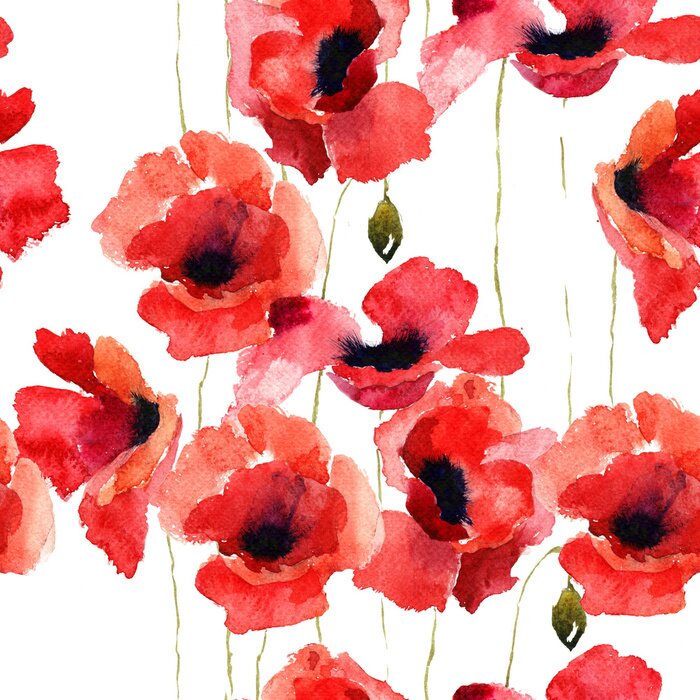 Papier peint  Coquelicots délicats sur fond blanc