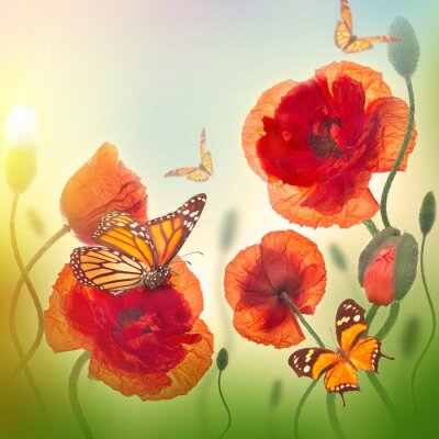 Papier peint  Coquelicots et papillons