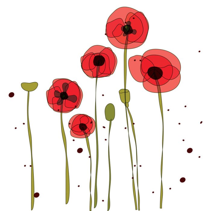 Papier peint  Coquelicots rouges graphiques