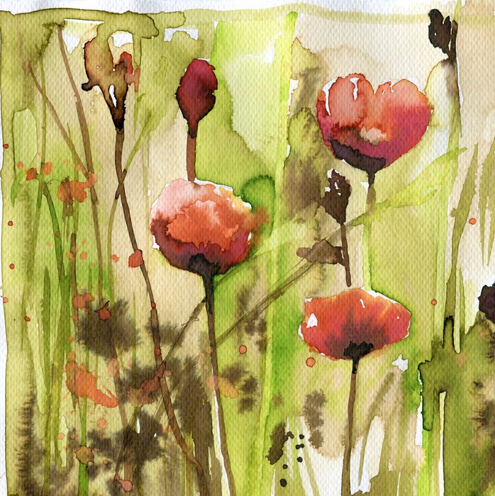 Papier peint  Coquelicots rouges peints à l'aquarelle