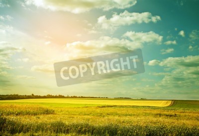 Papier peint  Coquillages sur le sable sur fond de ciel