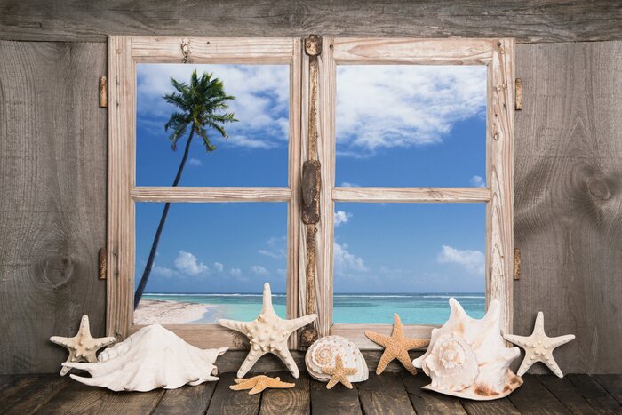 Papier peint  Coquillages sur une fenêtre