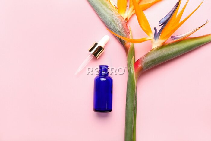 Papier peint  Cosmetic dropper bottle and strelitzia flowers on pink background