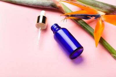 Papier peint  Cosmetic dropper bottle and strelitzia flowers on pink background, closeup