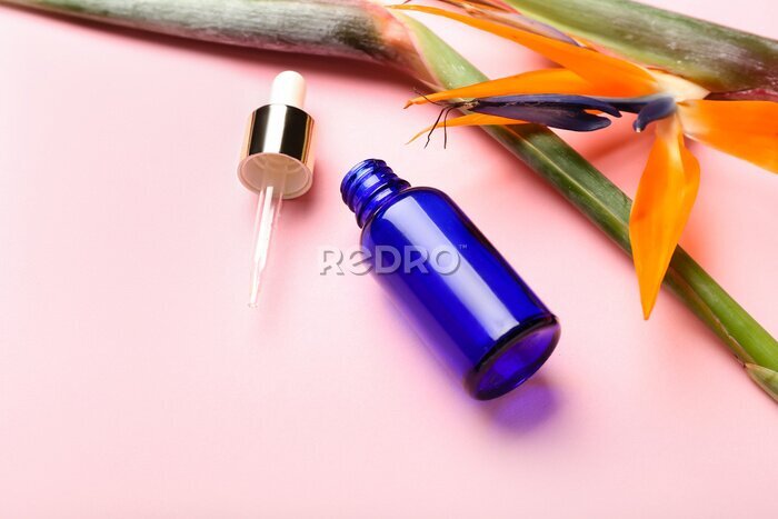 Papier peint  Cosmetic dropper bottle and strelitzia flowers on pink background, closeup