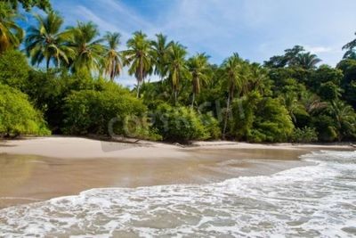 Papier peint  Côte tropicale