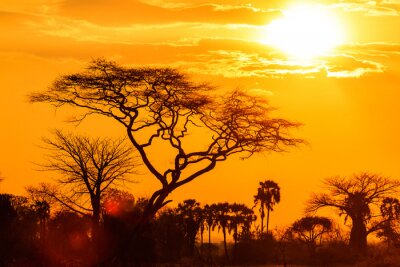 Papier peint  Coucher de soleil Afrique et nature